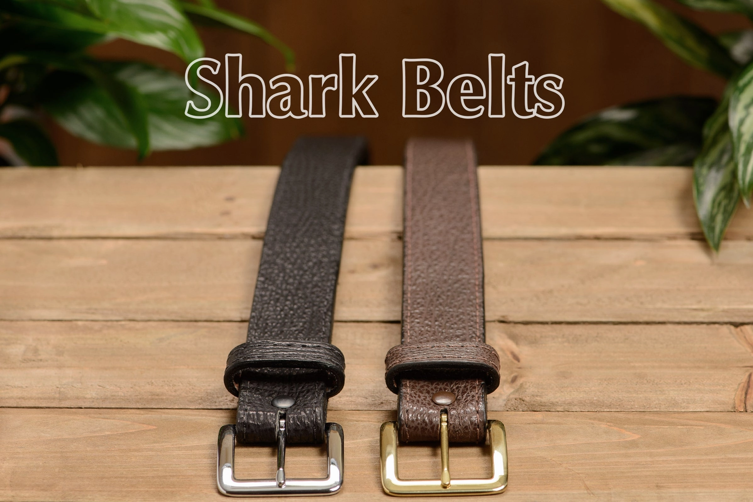 Men's Black Shark Leather Belt