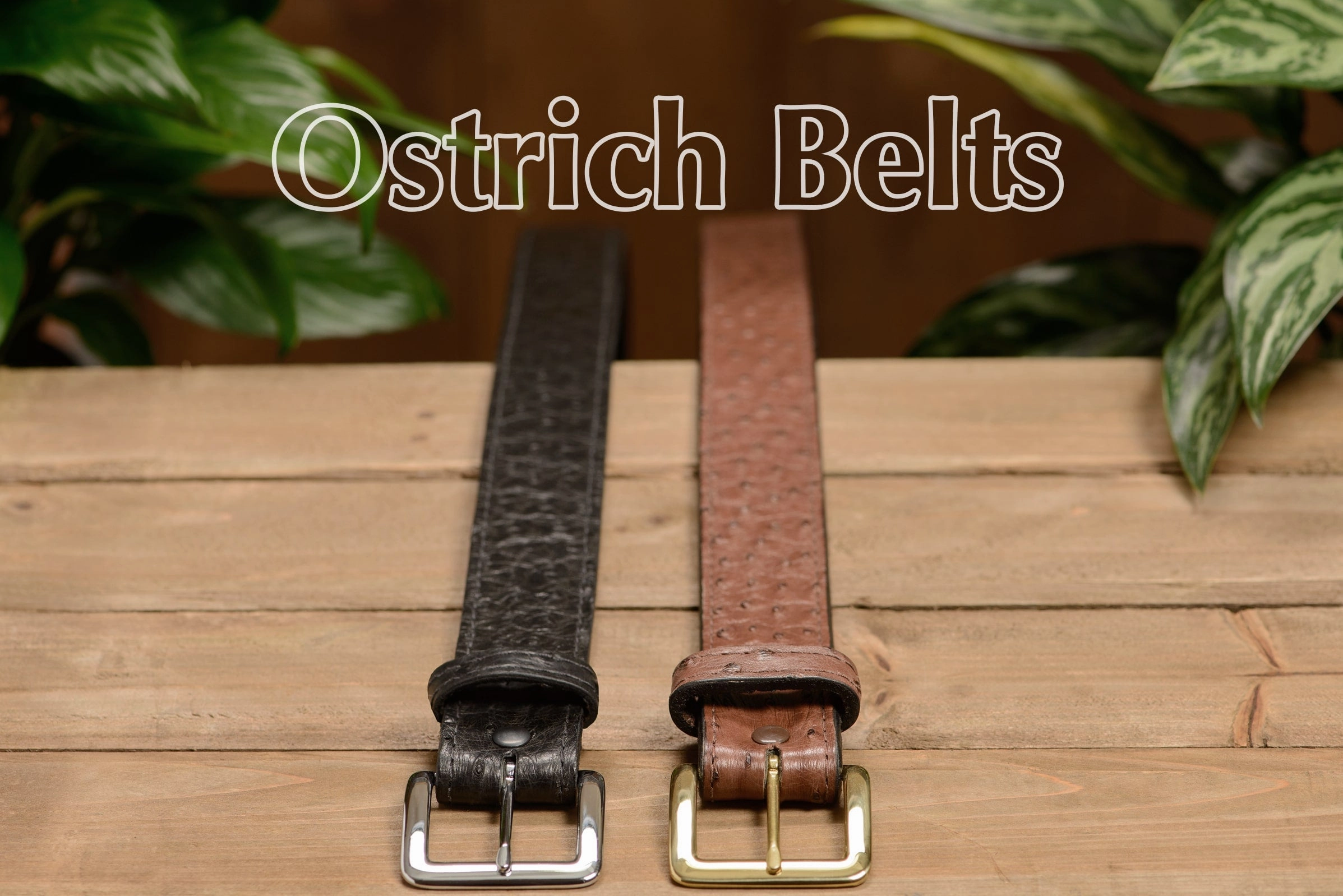 Men's Black South African Ostrich Skin Leather Belt