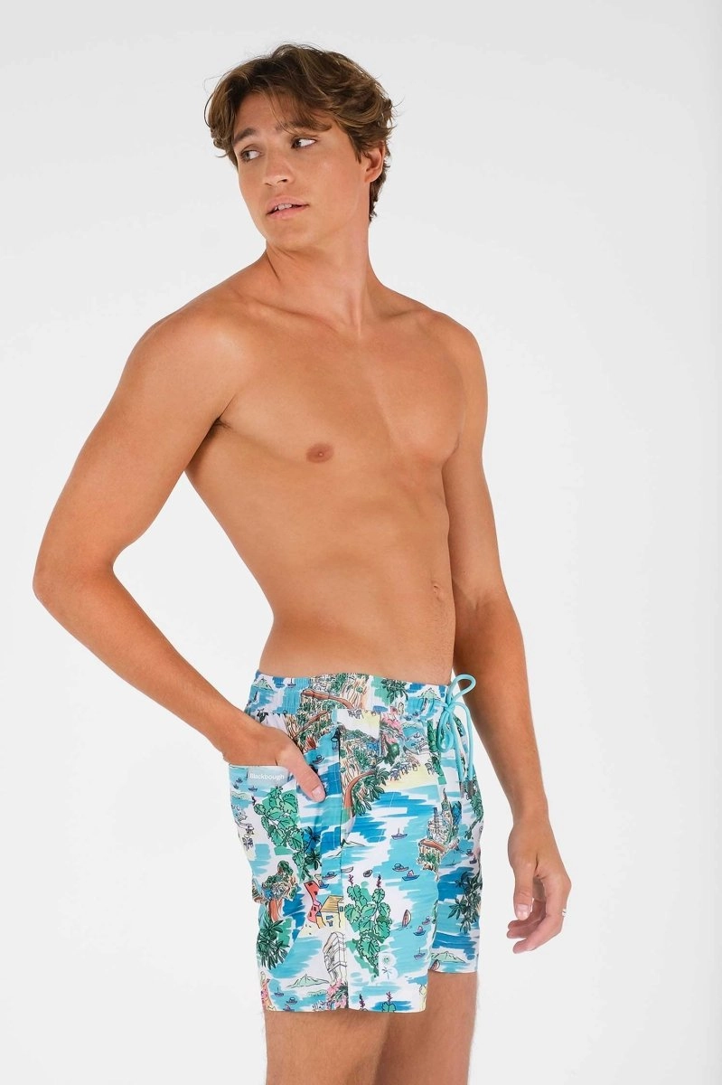 Men's Board Shorts / St. Tropez FINAL SALE