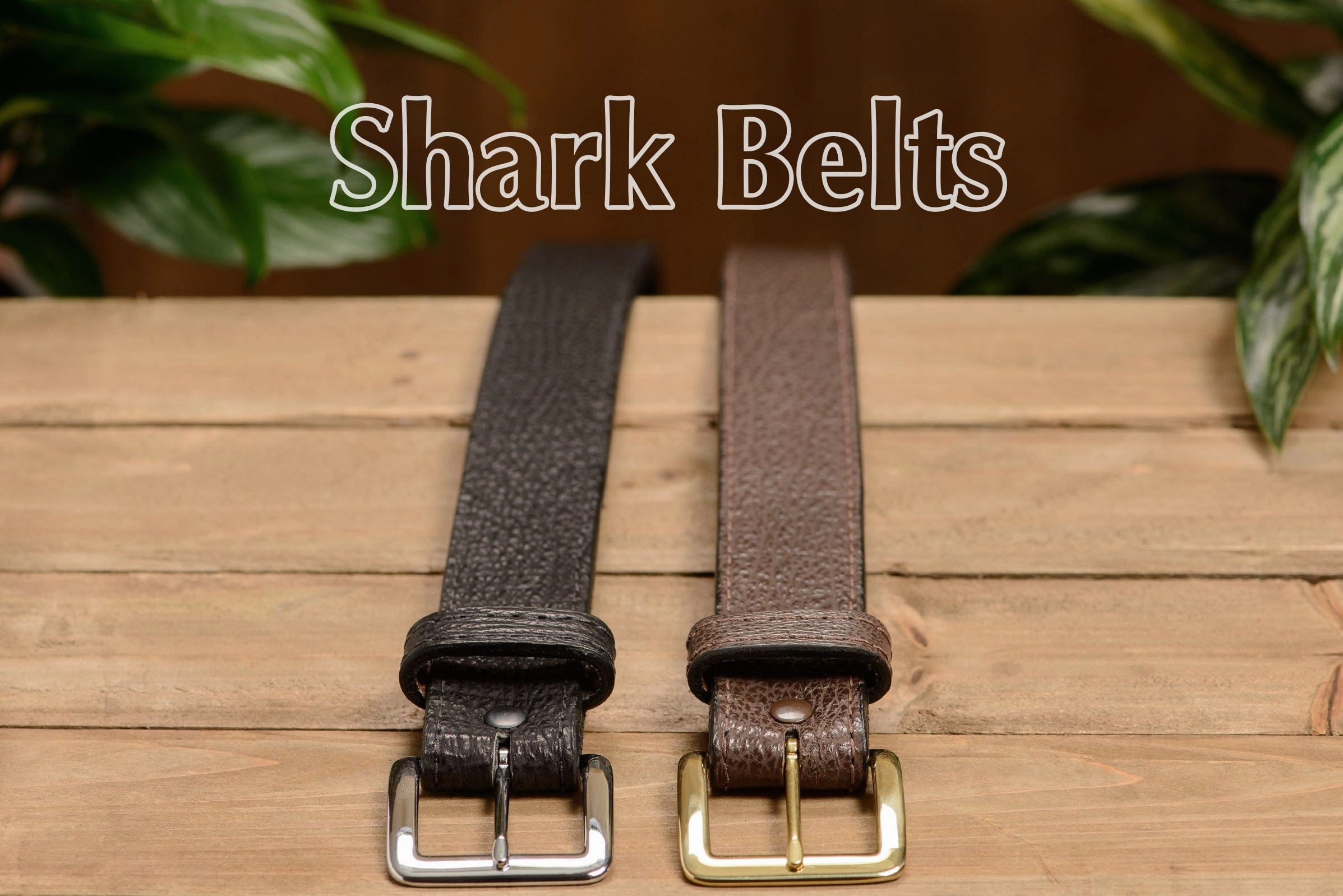 Men's Brown Shark Leather Belt