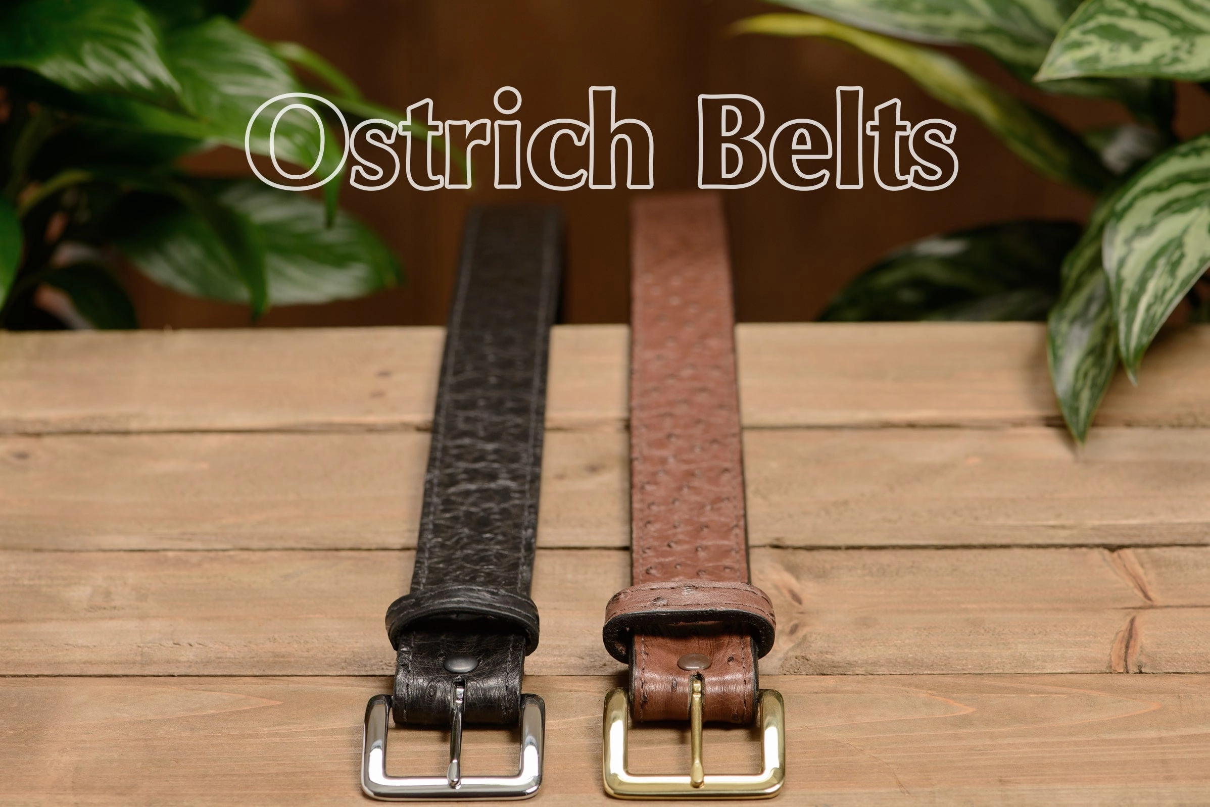 Men's Brown South African Ostrich Skin Leather Belt