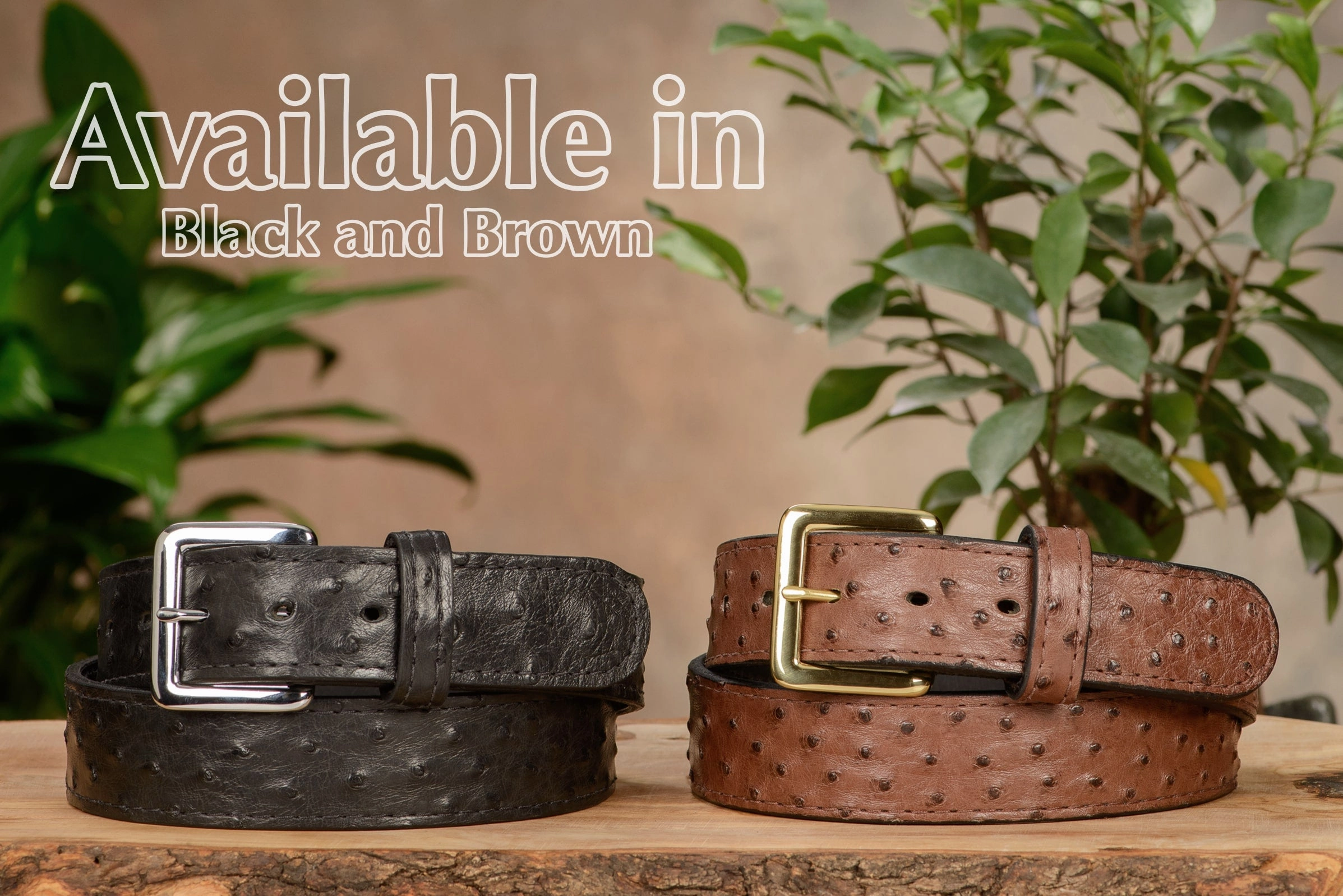 Men's Brown South African Ostrich Skin Leather Belt