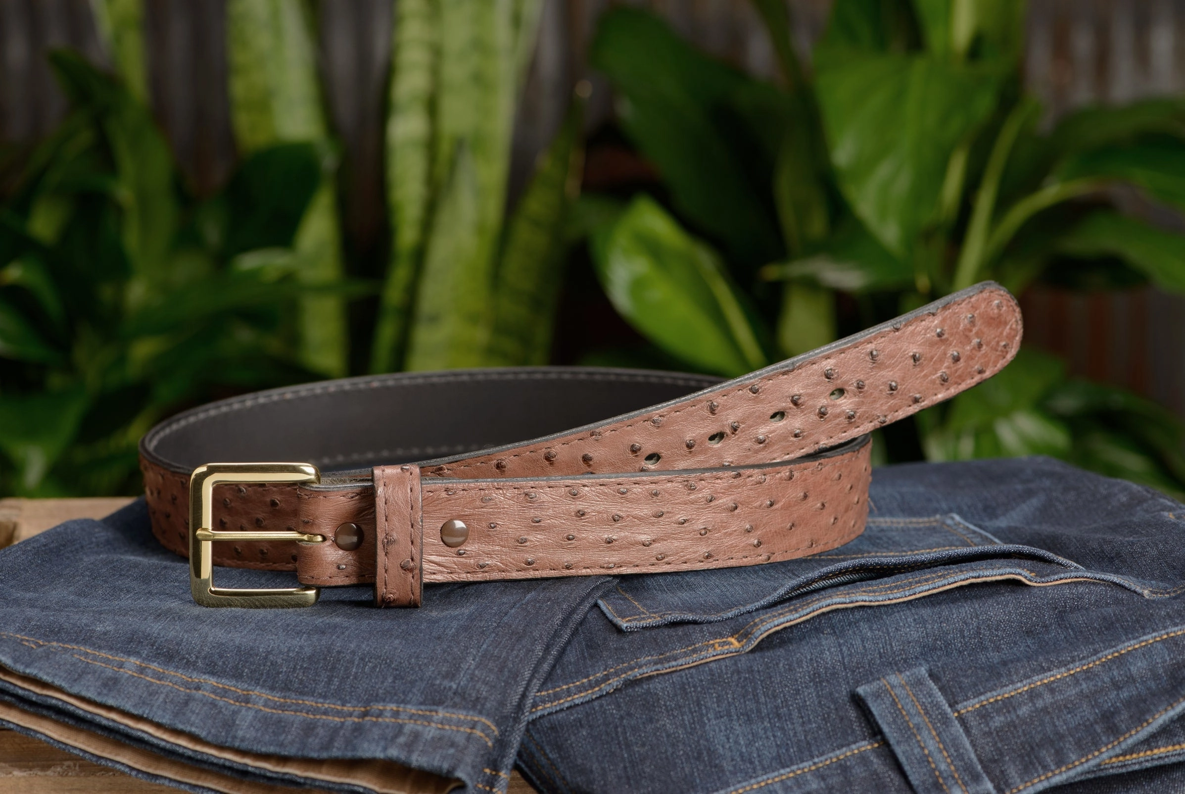 Men's Brown South African Ostrich Skin Leather Belt