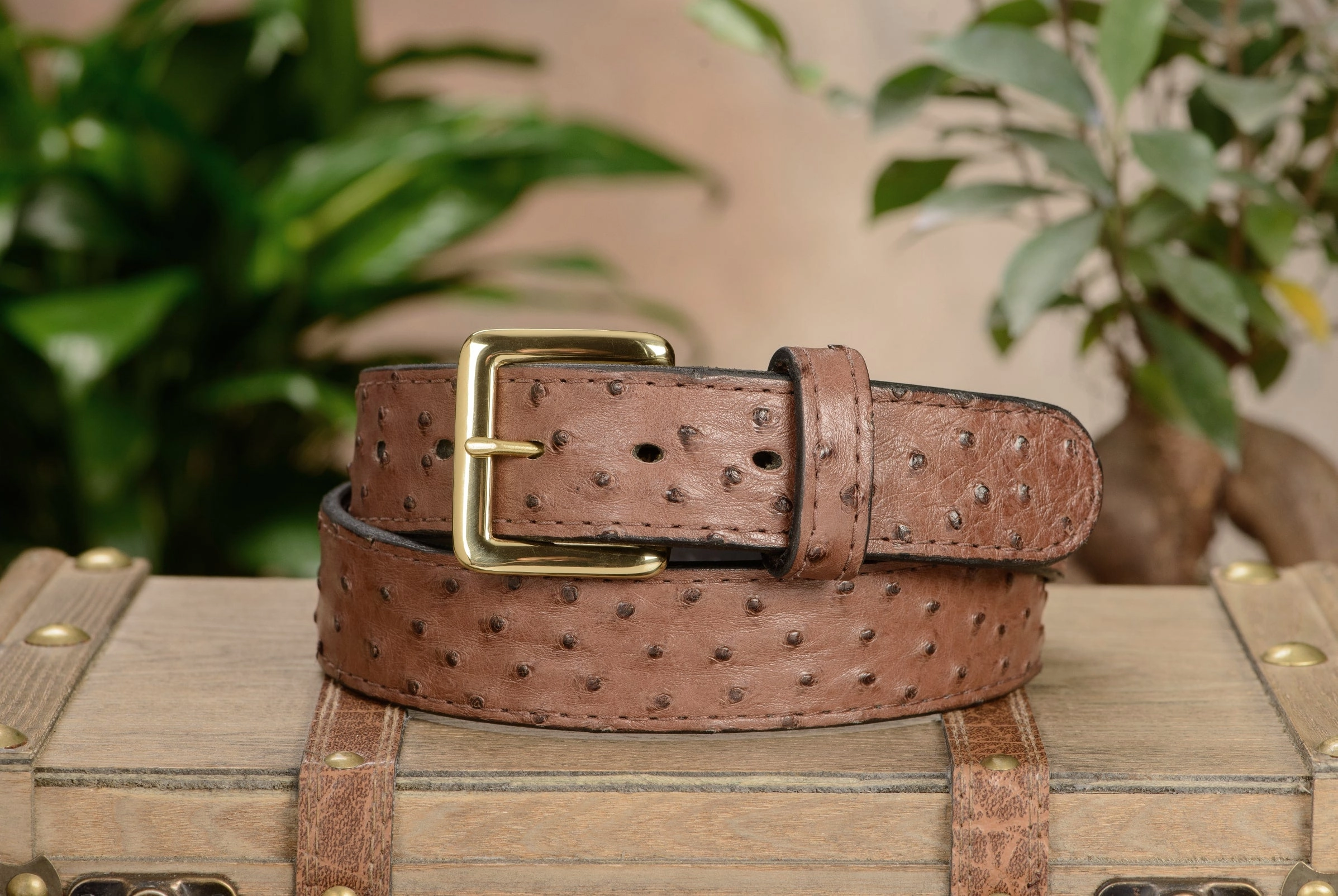 Men's Brown South African Ostrich Skin Leather Belt