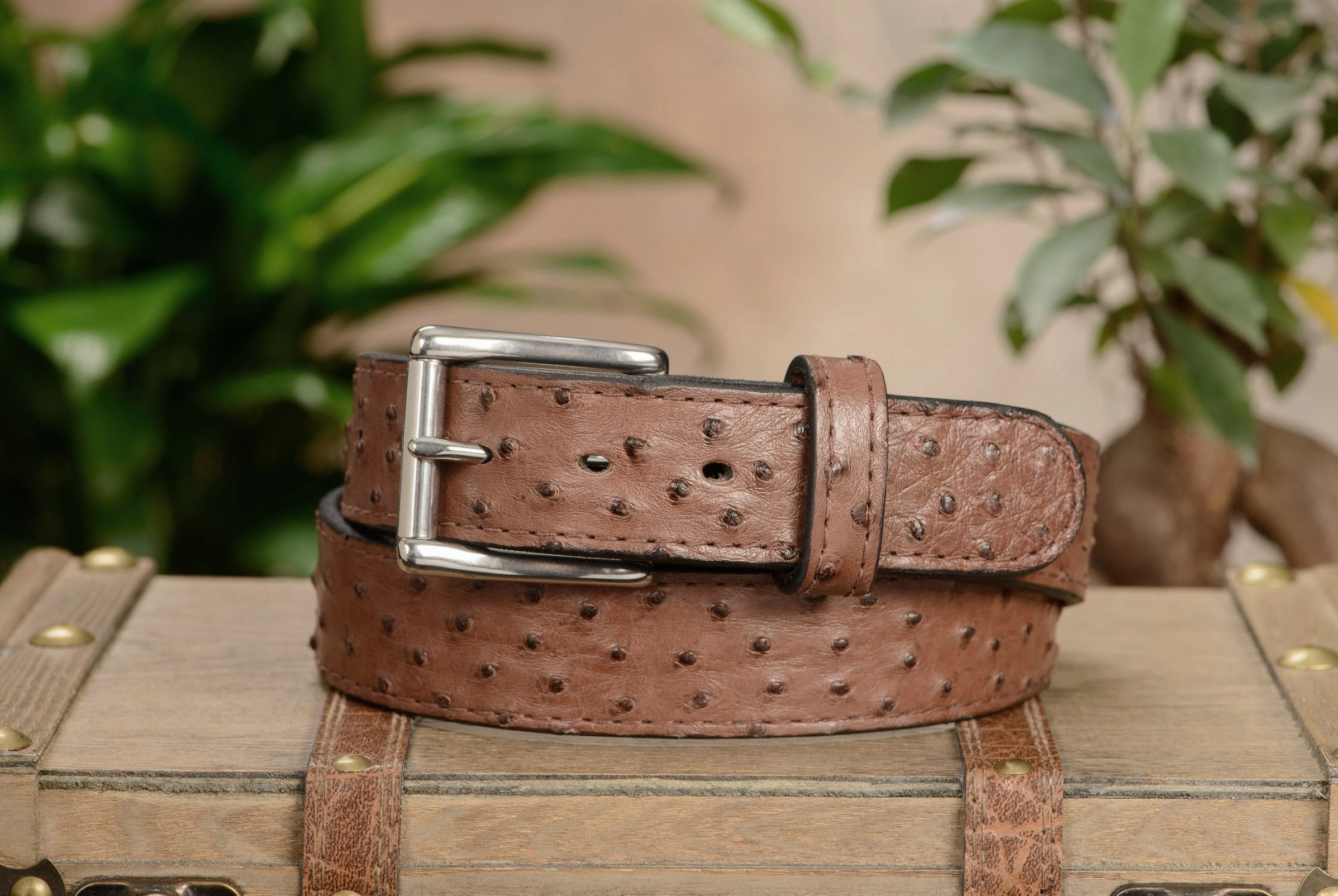 Men's Brown South African Ostrich Skin Max Thickness Gun Belt